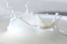 Séparateurs pour la transformation du lait et du lactosérum Laiteries