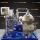 AFPX 810 XGV-17 Alfa Laval Séparateur à bol auto-déboubeur - L'original peut être différent dans certaines circonstances.